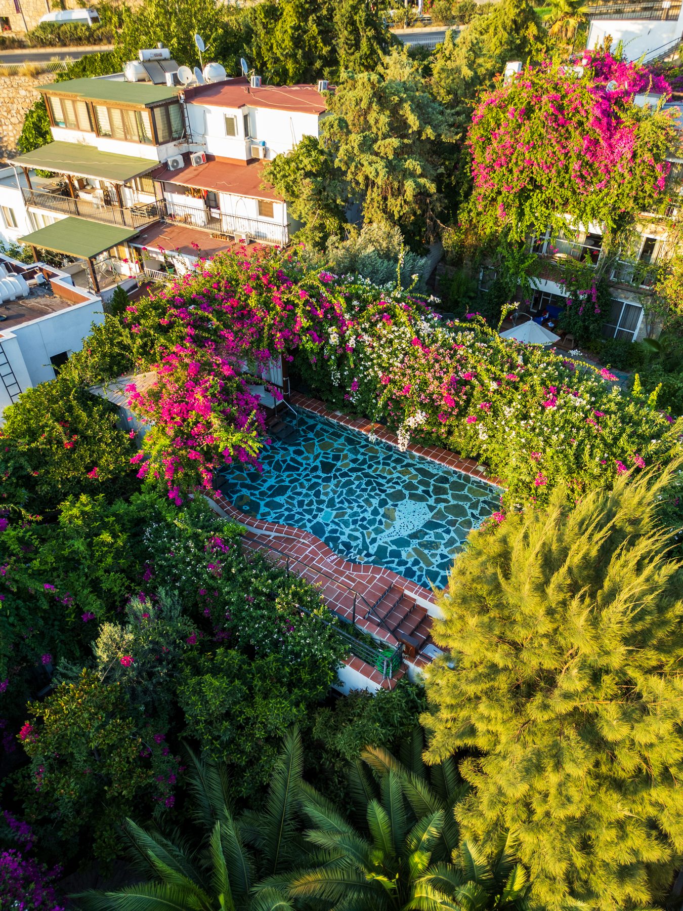 Mosaic pool from above