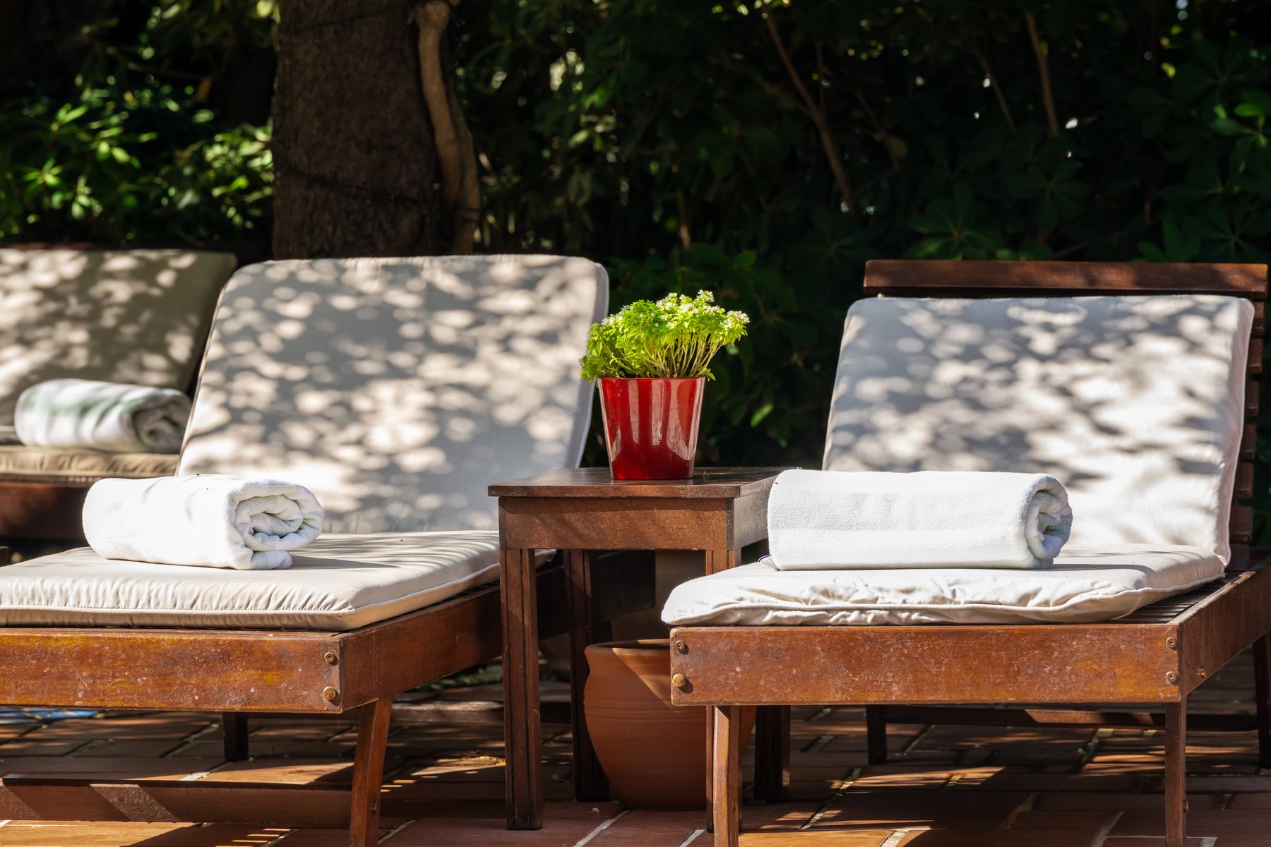 Sun loungers with fresh towels