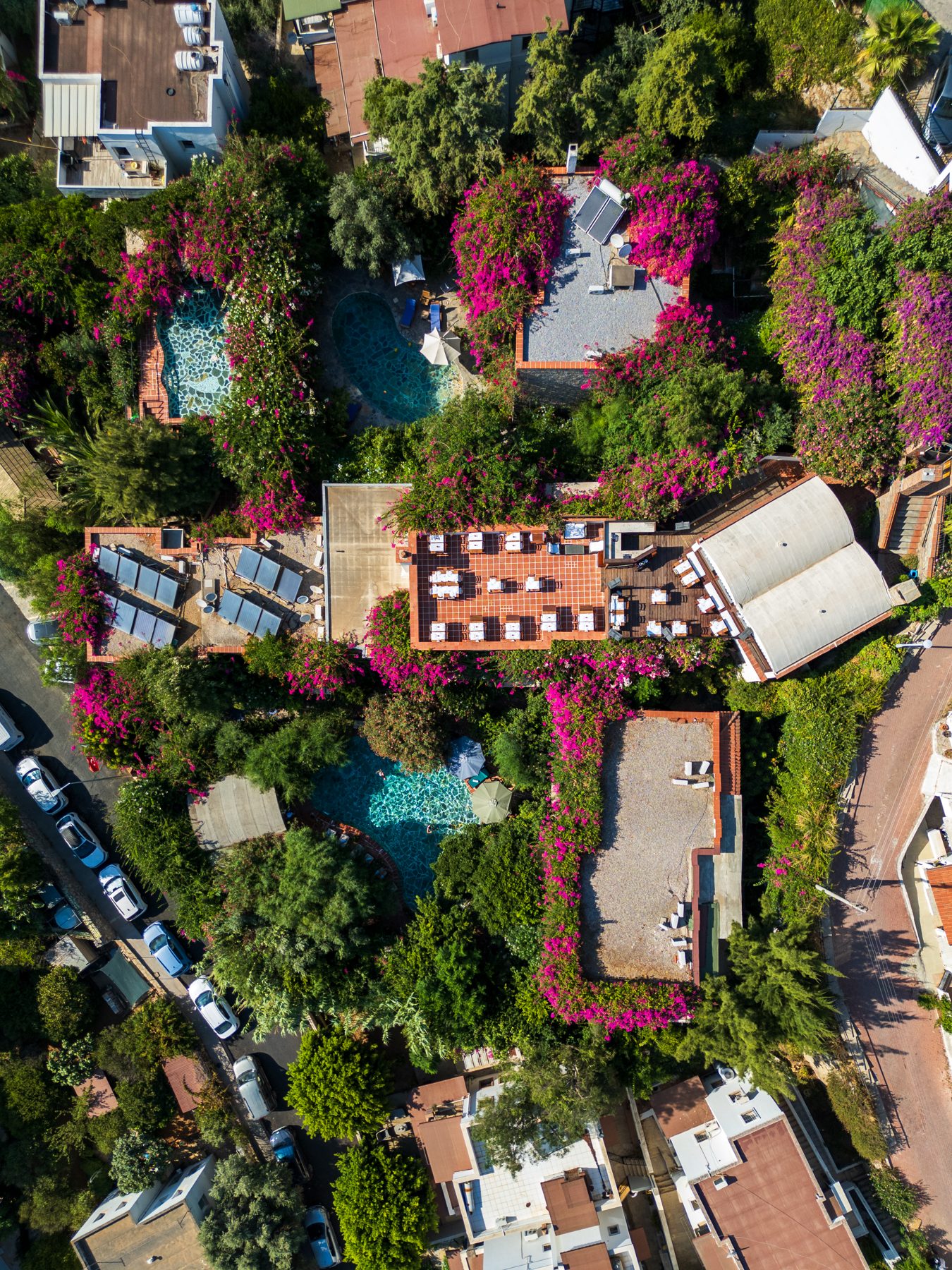 Both pools and gardens from above