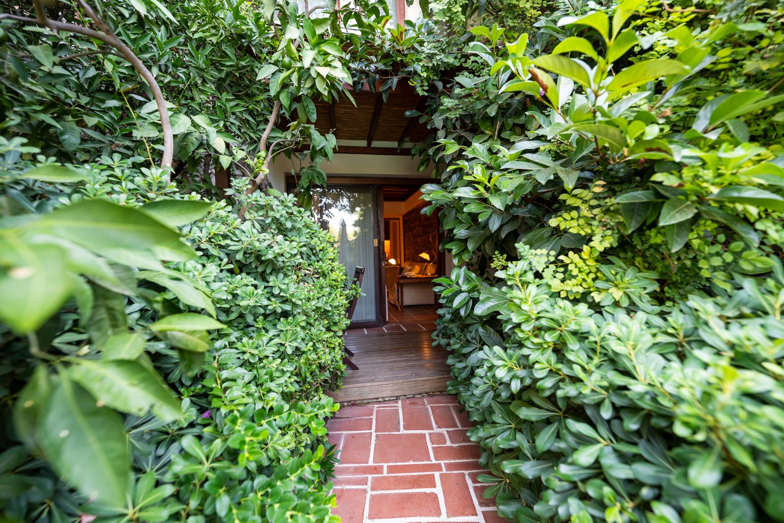 Garden suite entrance through the greenery