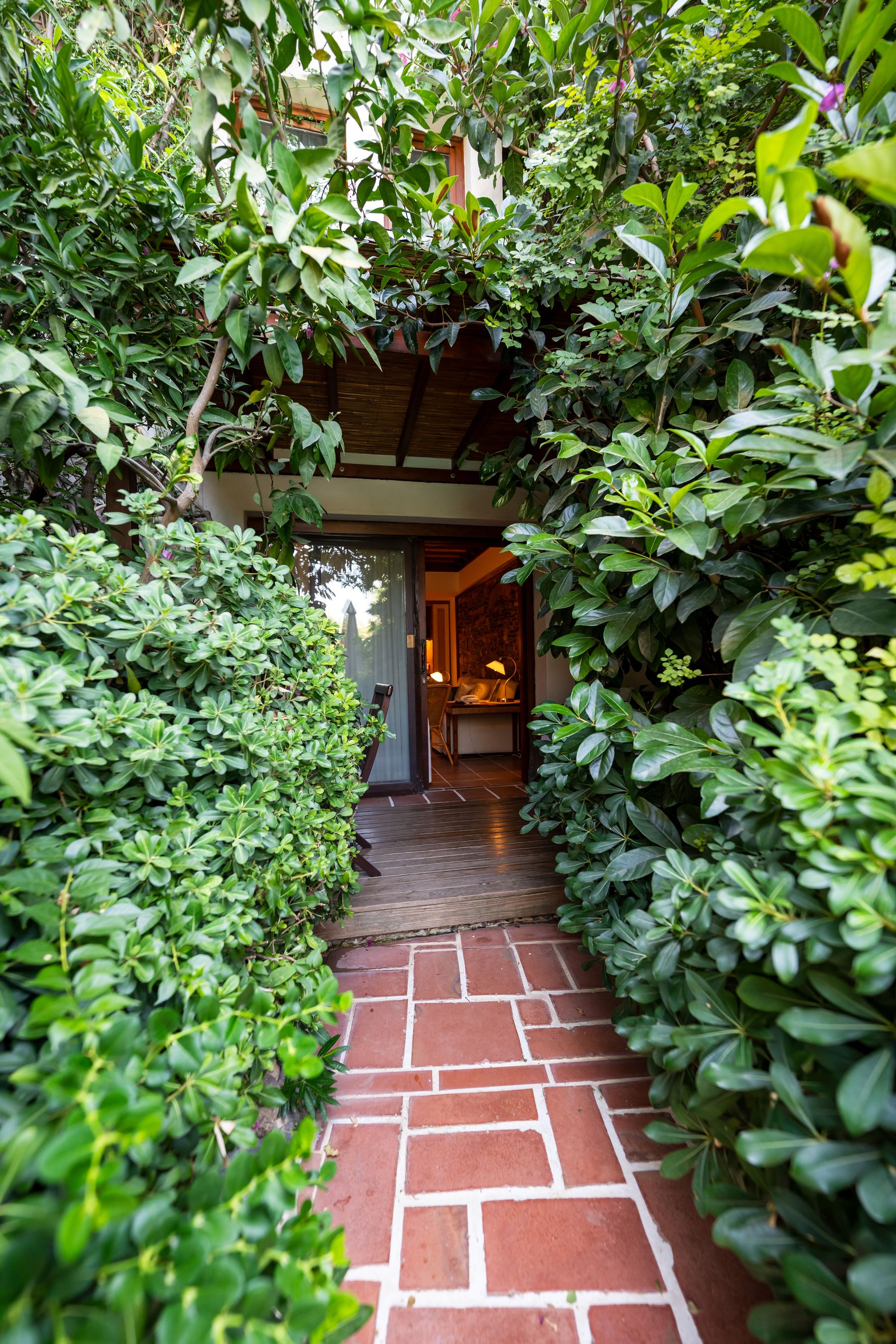 Brick path between the greenery