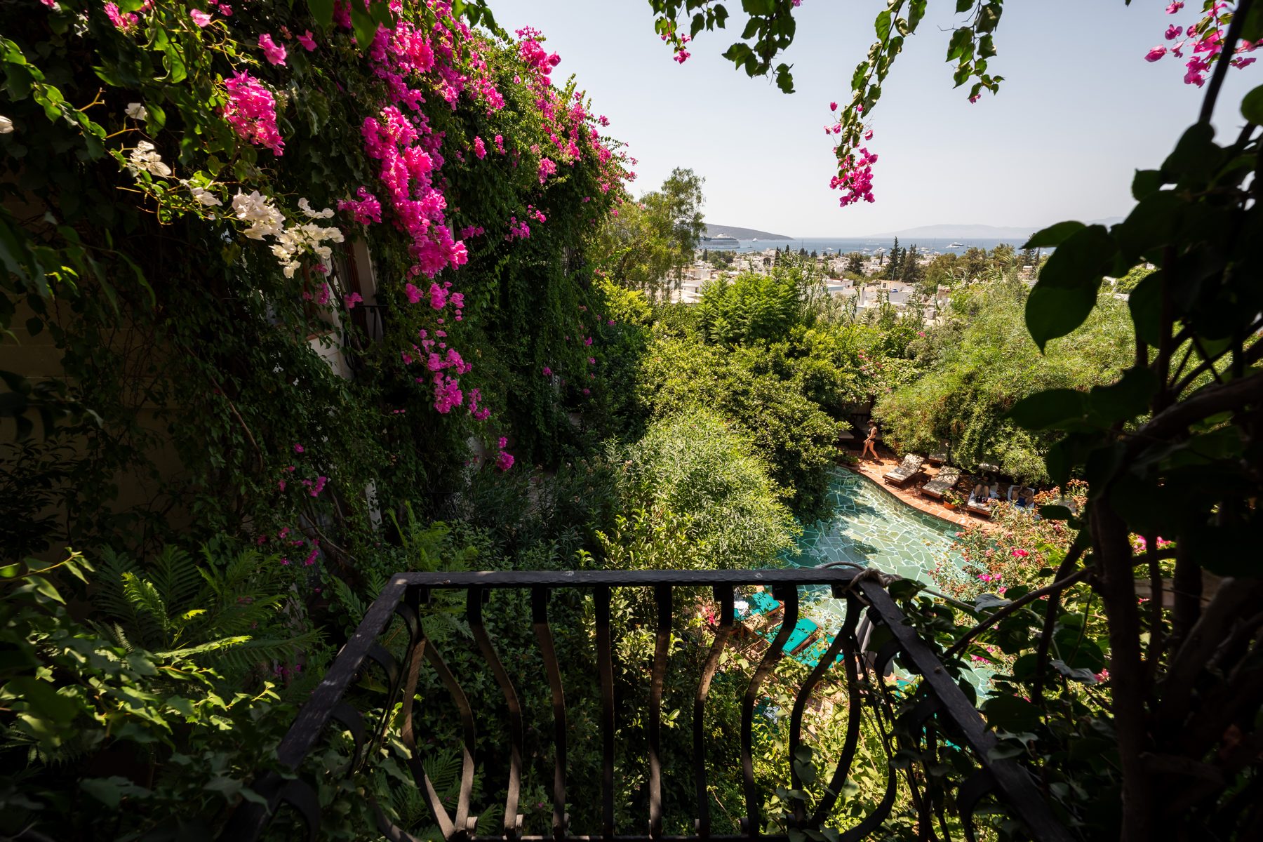 Bougainvillea terrace over the garden