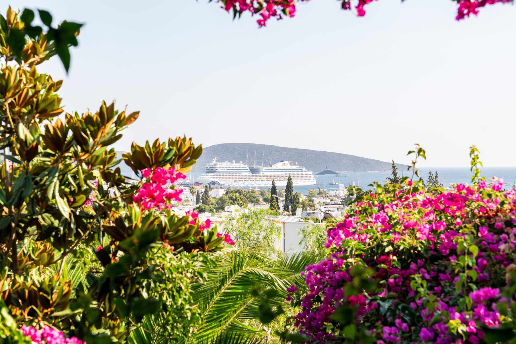 Castle and sea view through the flowers