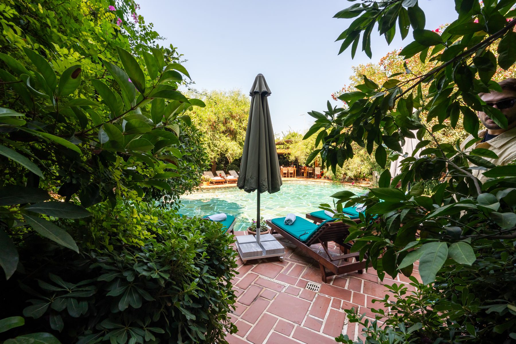 Garden pool surrounded by greenery at El Vino Hotel & Suites Bodrum